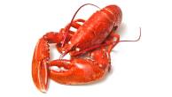 Seafood